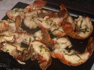 007-copie-6.JPG