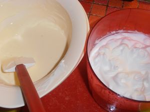 009-copie-1.JPG
