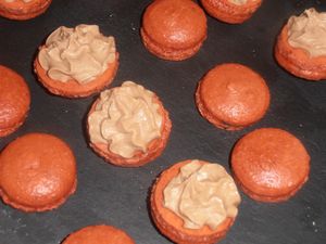 004-copie-5