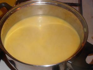 011-copie-2.JPG