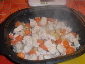 012-copie-2.JPG