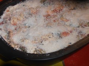 012-copie-1.JPG