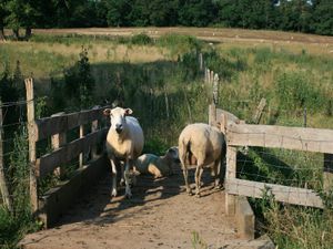 IMG_0433-MiNi.jpg