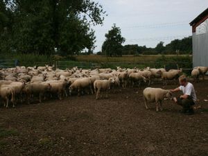 IMG 1540-MiNi