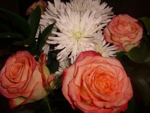 Photo-032.jpg