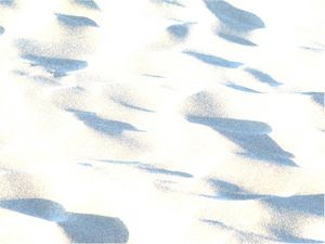 Sable-2.jpg