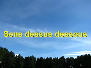 Sens-dessus-dessous.JPG