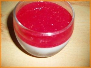 Panna-Cotta-au-nougat-et-son-coulis-de-framboises.jpg