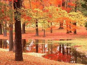 automne.jpg