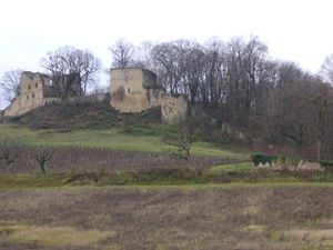 Chateau-fort-d-Arlay--2-.JPG