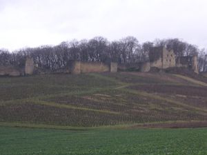 Chateau-fort-d-Arlay-copie-1.JPG