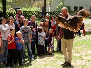 FruehlingsfestGreifvogelschau 03 Uhu 03