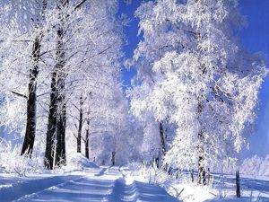 foretneige.jpg