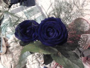 2014-05-11-23.15.37.jpg