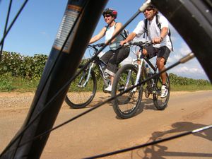 chacun-son-2-roues1.jpg