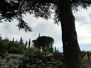 DSC01790