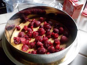 ENTREMET FRAMBOISE MURES1