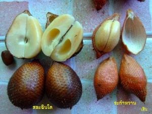 sala-fruits.jpg