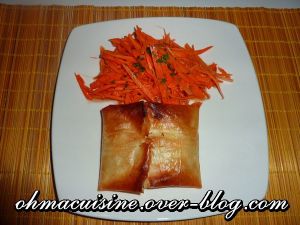 Brick boeuf