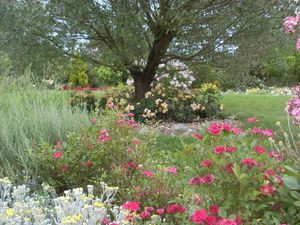 Scene-de-jardin--JPG