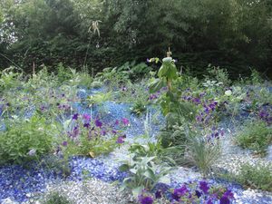 DSCF6081