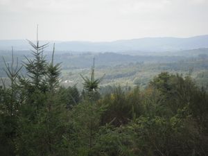 DSCF6281