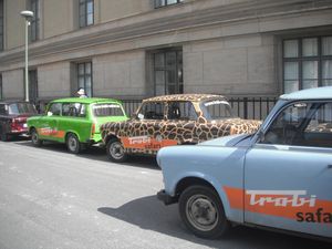 DSCF6337