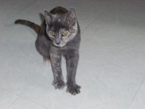 DSCF2866.jpg