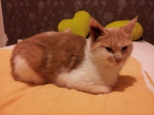 20121213_182017.jpg