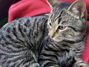 20121216_172153.jpg