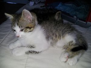 20130517_152448.jpg