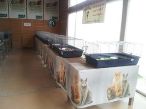 20130621_182228.jpg