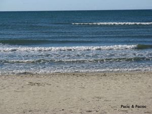 mare 2