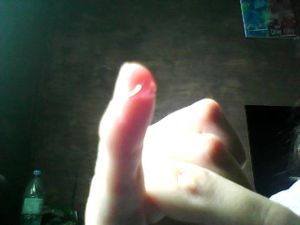 IMG0081.jpg