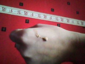 IMG0094.jpg
