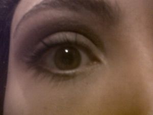IMG00277-20121223-1929.jpg