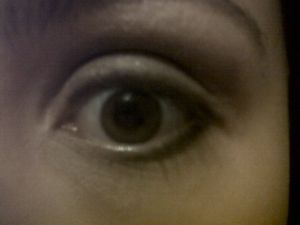 IMG00278-20121223-1929.jpg