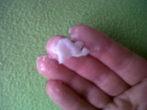 IMG00319-20130127-1302.jpg