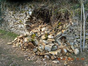 sentier cabornes (1)