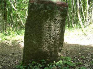 DSCF0466