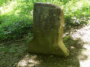 DSCF0468