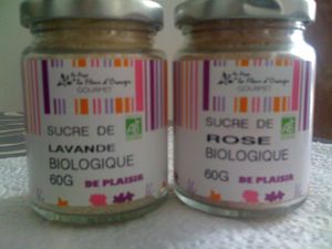 004-copie-1.JPG
