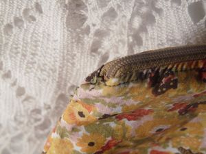 trousse (19)