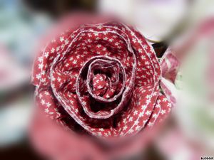 bloggif_4fd8424f676c7.jpg
