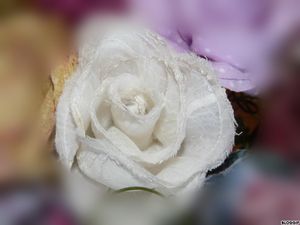 bloggif 4fd844c667884