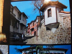P1150725.JPG
