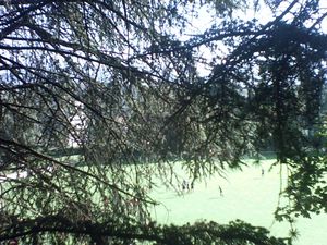 SUNP0229.JPG