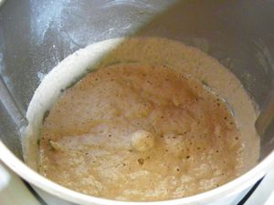 Poolish 1