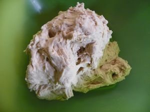 Poolish 2