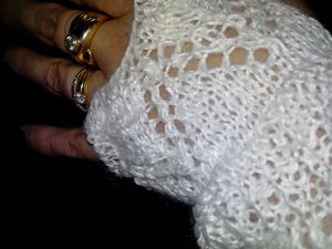 mitaine-20141010_181230.jpg